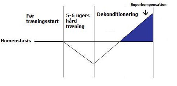 Homeostasis, restitution Homeostasis, restitution